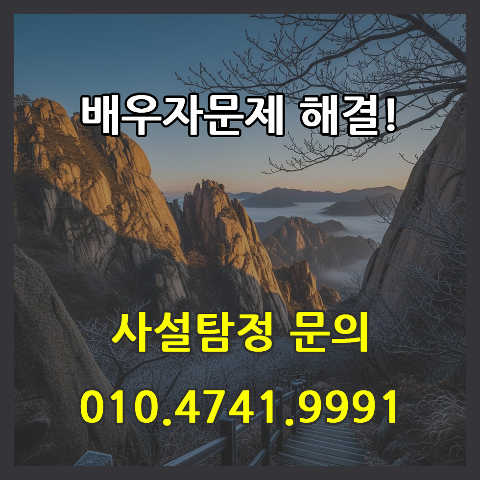 사설탐정 불륜