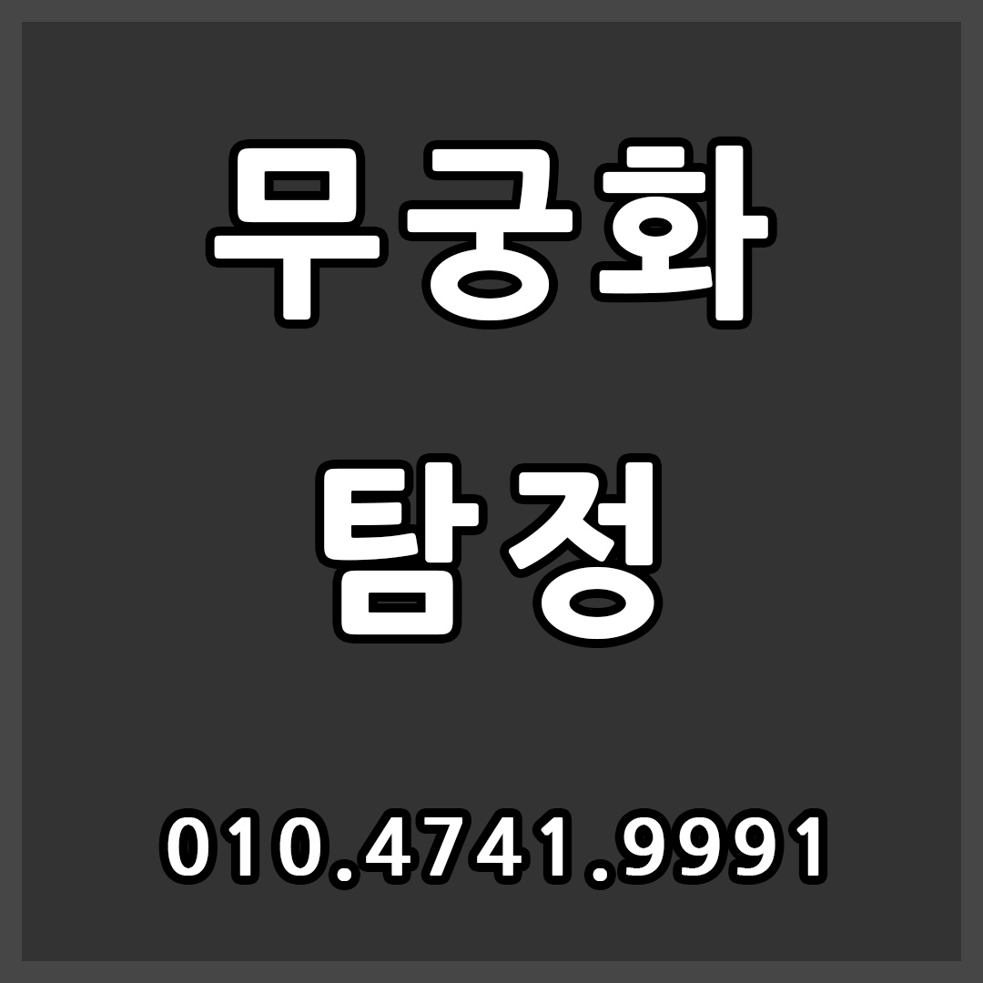 탐정 불륜