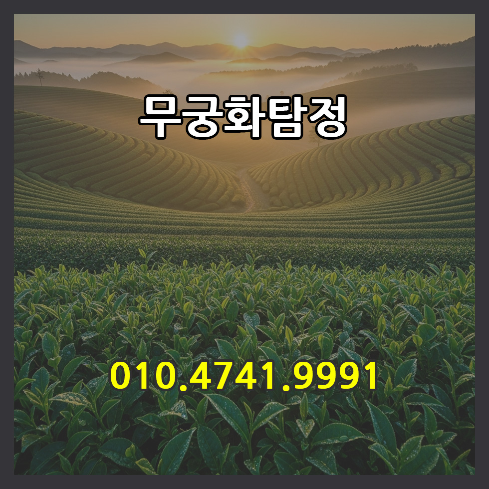 탐정비용문의